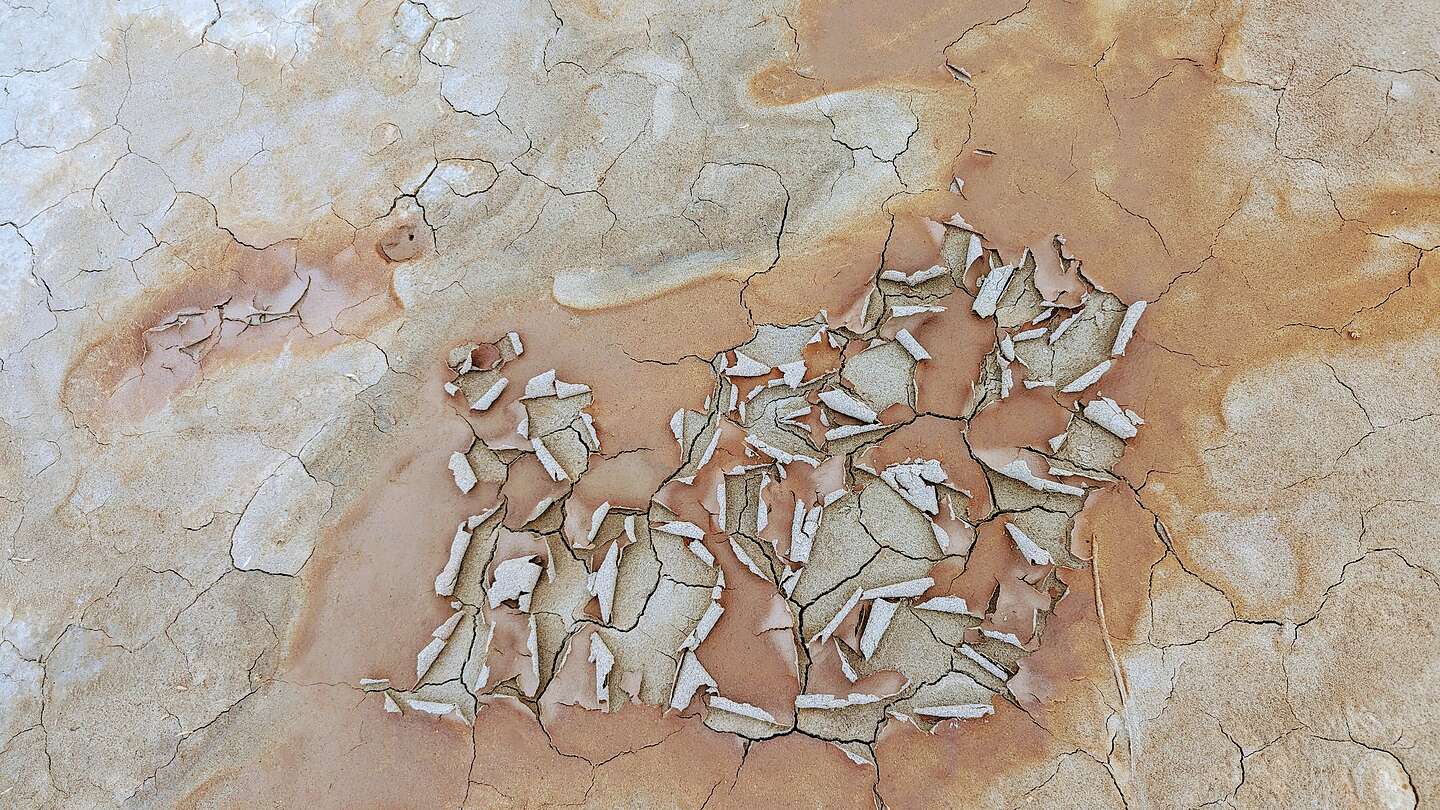 Patterns in the sand