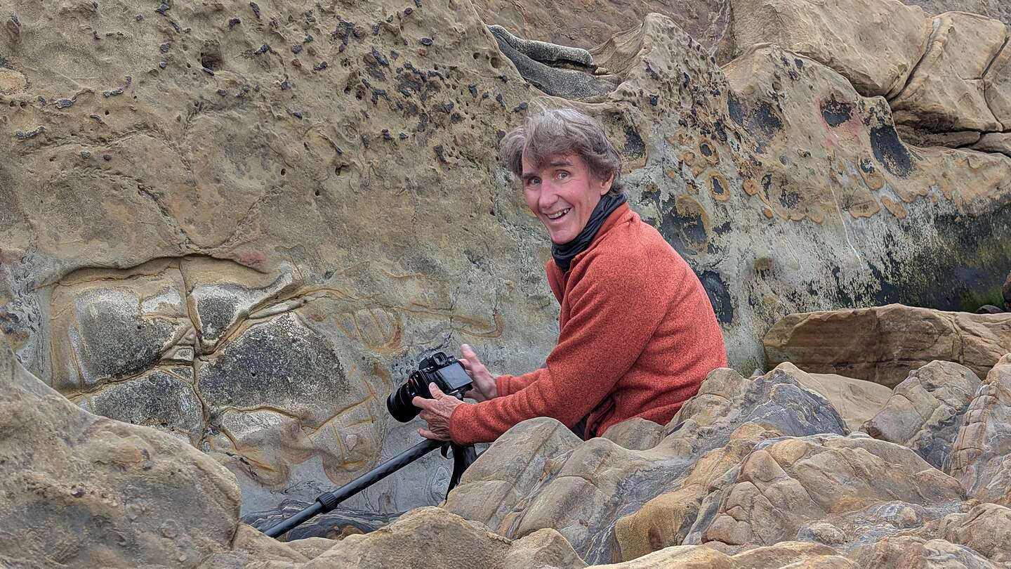 Point Lobos