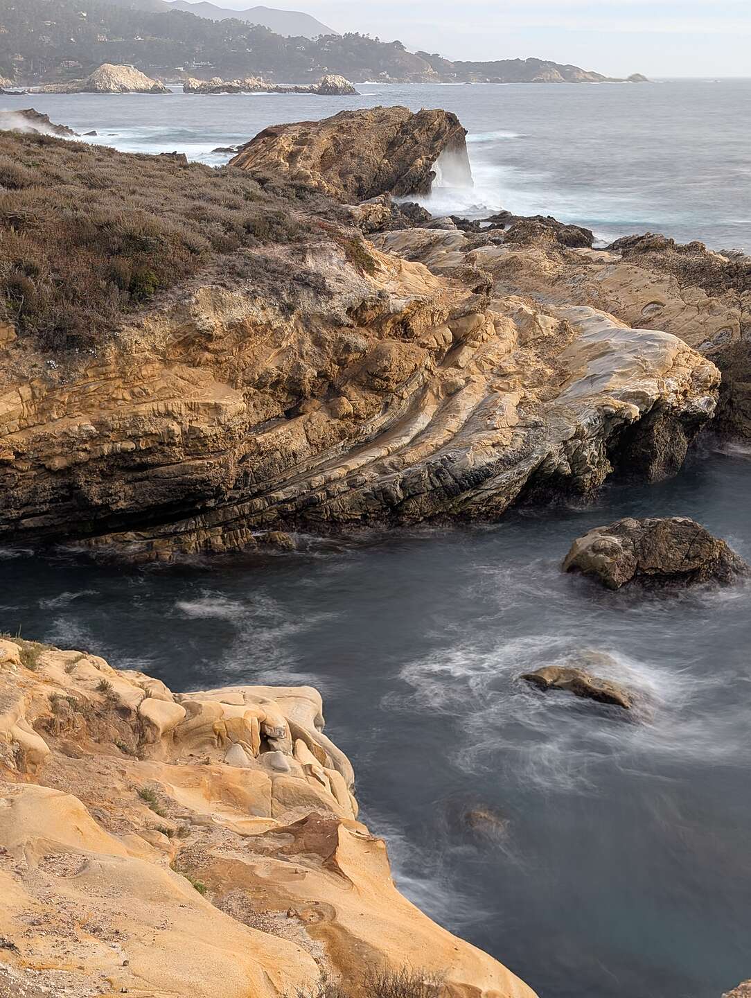 Point Lobos