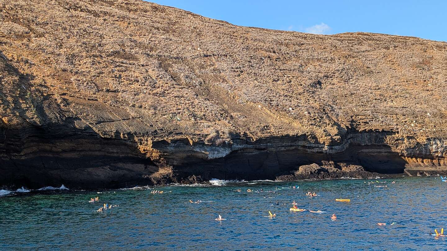 Snorkelers by Malokini Crater