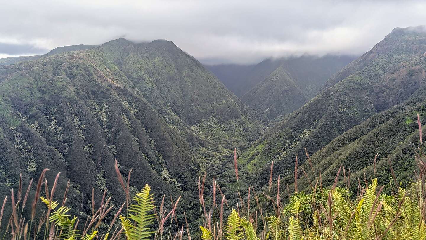 Waihee Canyon