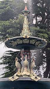 Peacock Fountain