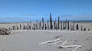 Hokitika Driftwood Art