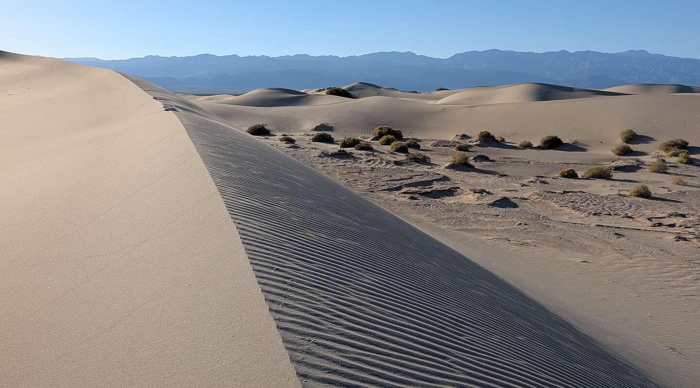 Mesquite Dunes