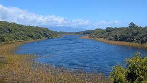 Dune Lake