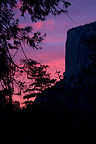 El Capitan Alpenglow - TJG