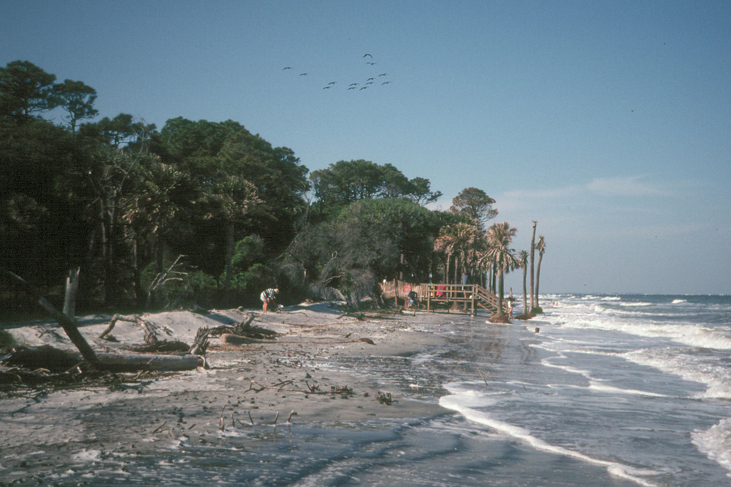 Hunting Island campground beach